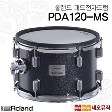 PDA120-MS, 롤랜드 PDA120-MS, 1개