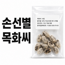 목화 씨앗 10립, 1개