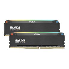 OLOy DDR4 RAM 16GB(2x8GB) 블랙 헤어라인 블레이드 RGB 3200MHz CL16 1.35V 288핀 데스크탑 게이밍 UDIMM (MD4U0832161BRKD, OLOy DDR4 RAM 16GB(2x8GB) 블랙 헤