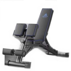 로만체어 백익스텐션 복근 옆구리 코어운동 피트니스, 덤벨 벤치