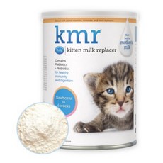 펫에그 고양이 KMR 파우더 초유 분유, 우유, 340g, 2개