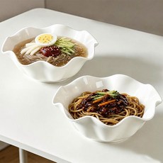 WHH 예쁜 도자기 대접 그릇 라면 그릇 냉면 그릇 식기 세트, 2개, 화이트 2개, 화이트