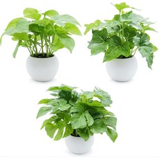 광촉매 관엽식물 미니 세트 3개 탈취・효과 가짜 그린 조화 관엽식물 가짜