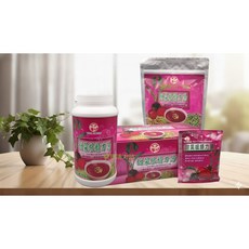 健康活力站 植引生技 甜菜根精力湯，天然蔬果精華，即飲包裝，補充體力，促進新陳代謝, 盒裝540公克