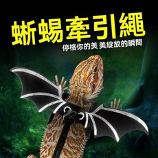 凱盛爬蟲 蜥蜴牽引繩 帶翅膀, 1個