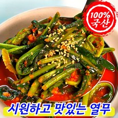 [100%국산] 아삭아삭 감칠맛 전라도 열무김치, 1박스, 3kg