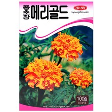 세인화분 중초장 메리골드 100립 - 씨 씨앗 꽃씨 국화, 1개