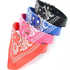 룸1602 반려동물 목줄 애견목줄, 블랙 1cm