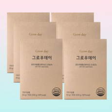 그로우데이 성장부스터 6박스 (총 60포) 어린이 청소년 선식, 22g