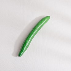 가벼운 오이 모형 1개