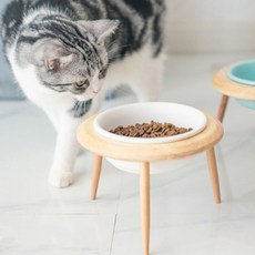 반려견 높이조절 식기 화이트 소형 1P 세라믹 밥그릇pjy1+5mPF