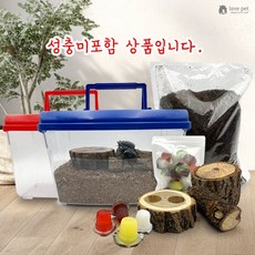 사슴벌레 신형 스페셜 사육세트, 01.신형세트, 1개