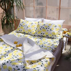 더크린 이불 극세사 비타민 시어서커 세트 SS 홑 겨울 구스 커버 침구 차렵 베개 458882, 본상품선택