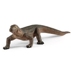 슐라이히코모도 왕 도마뱀