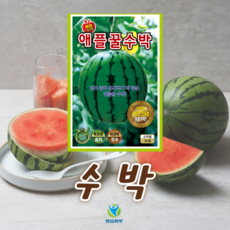 애플 꿀수박 씨앗 (10립) 종묘 종자 수박 박수박 꼬마수박 씨 영웅 KS, 1개