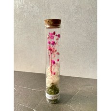 Sally 瓶中花 乾燥永生花束 玻璃瓶裝 告白求婚畢業禮物 居家擺飾, 粉色滿天星,都不加購