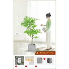 인조 몬스테라 플랜테리어 소품 매장 인테리어 촬영 파초, 1.5m 난디나+회색