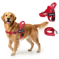FAYOGOO 소형에서 대형견을 위한 보조견 조끼 조절 가능한 가슴 스트랩이 있는 경량 안내견 하네스 걷기 훈련을 당김 없는 초크 탈출 방지 강아지 하네스, 레드