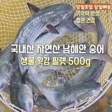 [산지직송] 국내산 자연산 새벽조업 당일배송 생물 활 숭어 횟감용 1.5kg 손질후 500g 필렛 제철생선 선물용 참숭어 보리숭어 밀치, 1세트, 새벽조업 자연산 횟감숭어 1500g 손질후 500g필렛