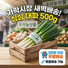 싱글벙글 국내산 손질 대파 1팩(500g 내외), 500g, 1세트