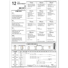 12個月寶寶的發育故事簡約育兒海報, 預設, 顏色