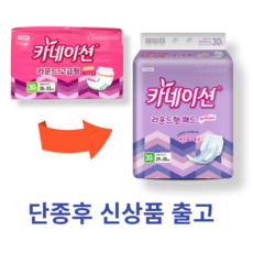 카네이션 성인용기저귀 속기저귀 라운드 고급형 30매x2팩(60매), 라운드형, 30개입, 2개