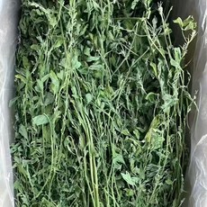 美國苜蓿草 寵物牧草 倉鼠牛羊馬飼料, 1kg, 1個