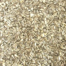 優旺寵物 葵花子(大顆) 台斤計價 帶殼葵花子 葵瓜子 向日葵花子, 1個