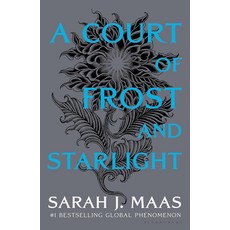 A Court of Frost and Starlight (A Court of Thorns and Roses 4)