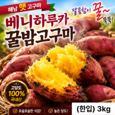 [땡잡았다] 땡마켓 해남 밤고구마 베니하루카 꿀밤고구마 산지직송, 1박스, (한입)3kg