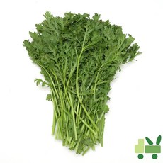 사라상회 쑥갓 8Kg, 1개