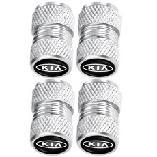 밸브캡 자동차밸브캡 알루미늄 합금, F_구형 실버 5개, 5개