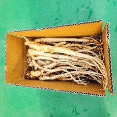 약도라지 도라지 세척도라지 깐도라지, 1개, 흙약도라지-실속 1kg