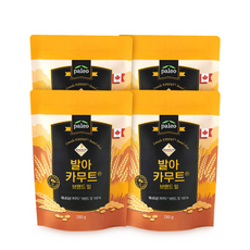 팔레오 발아 카무트 브랜드밀, 4개, 280g