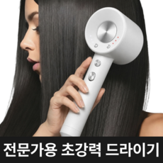 고출력 BLDC 헤어 드라이기 가정용 전문가용 미용실 드라이기, 화이트, KR9019