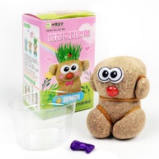 표정 감정 잔디인형 키우기 (1p) 식물키우기 식물재배키트, 랜덤