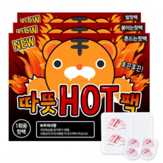 리예코퍼레이션 포켓형 흔드는 따뜻핫팩, 10개