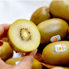 탁월한 당도 제스프리 골드키위 중과1kg (8-9과), 8개