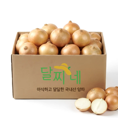 [타임특가] 달찌네 국내산 특품 햇 양파, 1개, 5kg
