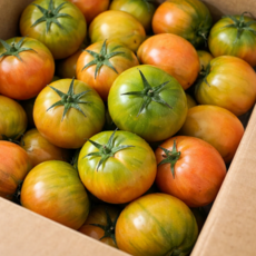 [100박스한정] 다담농원 초특가 산지직송 대저토마토 짭짤이, 1박스, 2.5kg(혼합)