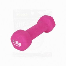 홈트 아령 근력운동 헬스장 미끄럼방지덤벨 0.5kg