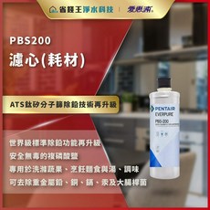 愛惠浦 原廠公司貨 PBS200 淨水濾芯 除鉛碳纖維 家用濾心 雷射標籤, 1個