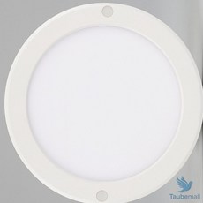 원형 엣지 직부등 8인치 20W 주백 현관직부등