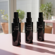 리베르 섬유향수 드레스퍼퓸 (6종 택1), 1개, 100ml, 칠 Chill