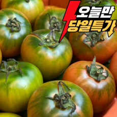 초특가 농협인증 산지직송 대저토마토 짭짤이, 1박스, 5kg L