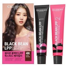 셀리본 블랙빈 LPP 퀵스피드 헤어컬러 염색 염모제 60ml + 산화제 60ml 세트, 4N 다크 브라운, 1개