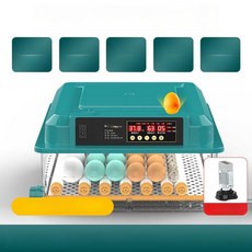 NOVA 병아리부하기 병아리부화기 메추리 달걀 가정용, 1개, 30알 단일 1단계 온도 습도 알람 5모드