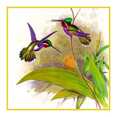 오렌코 오리지널 롱 빌 벌새 디테일 2 굴드 버드 십자수 패 Orenco Originals Long Billed Hummingbird Detail 2 Gould Bird Count