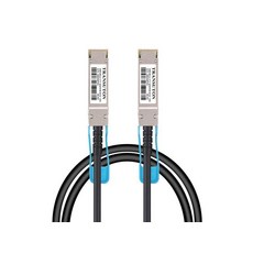 [Gadpiparty] 트랜스턴 100G QSFP28 DAC 케이블 | 100GBASE-CR4 QSFP28로의 패시브 트윈액스 1미터(3.3피트)