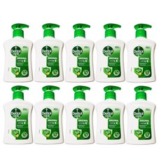 데톨 항균 핸드워시 오리지널 250mlX10개(1box), 10개, 250ml